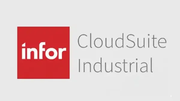 Infor CloudSuite Services
